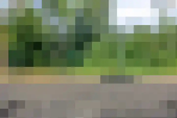 Horst 15 4 Lelystad thumbnail 33
