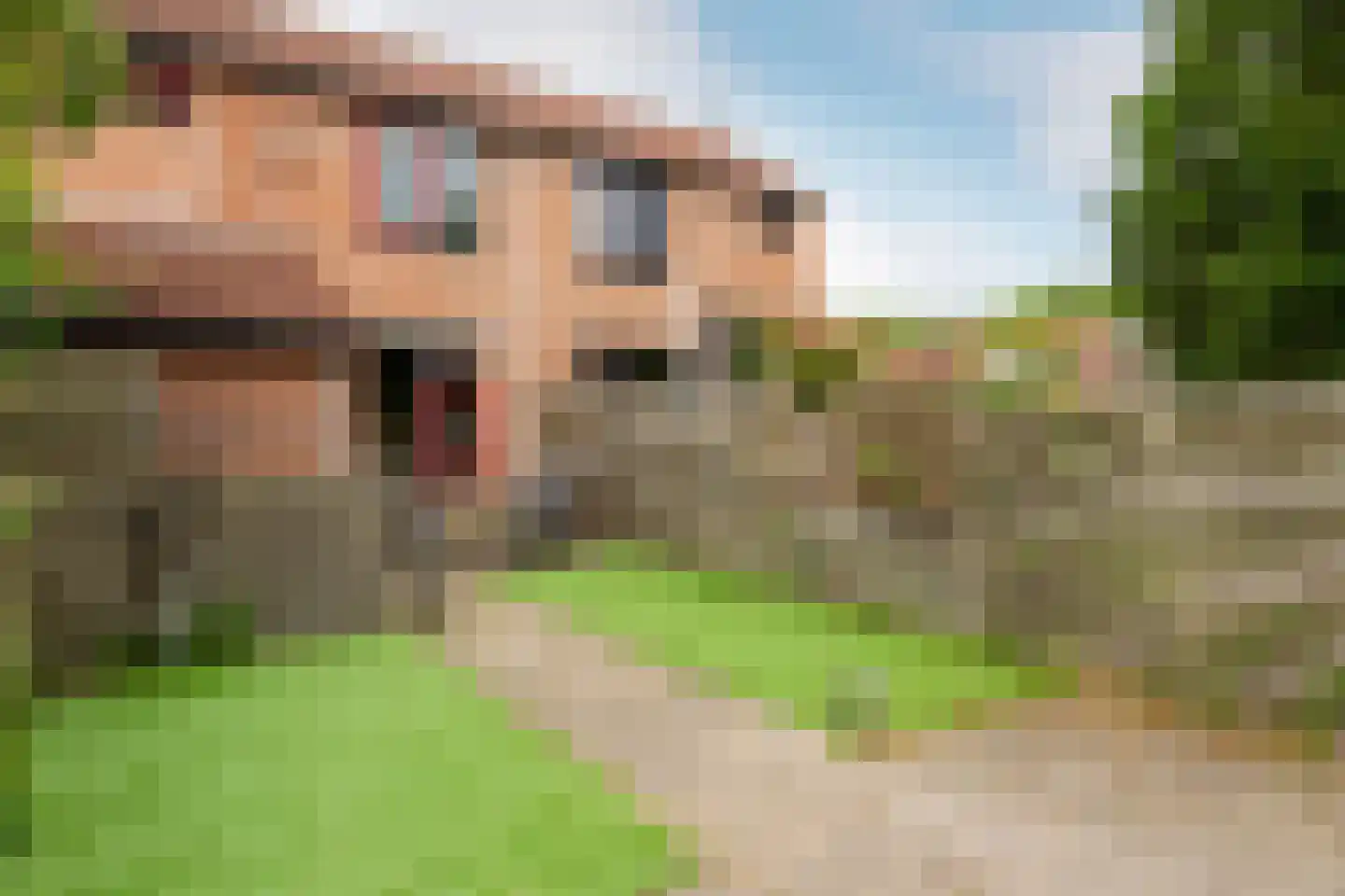Horst 15 47 Lelystad thumbnail 23