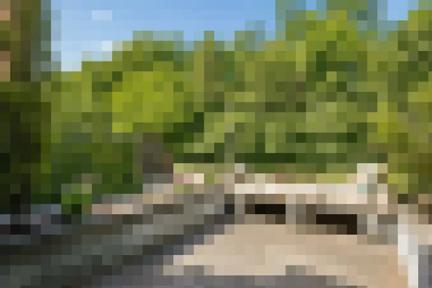 Horst 16 26 Lelystad thumbnail 41