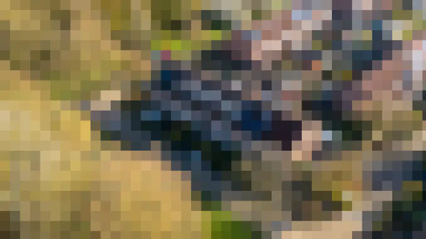 Horst 16 8 Lelystad thumbnail 35