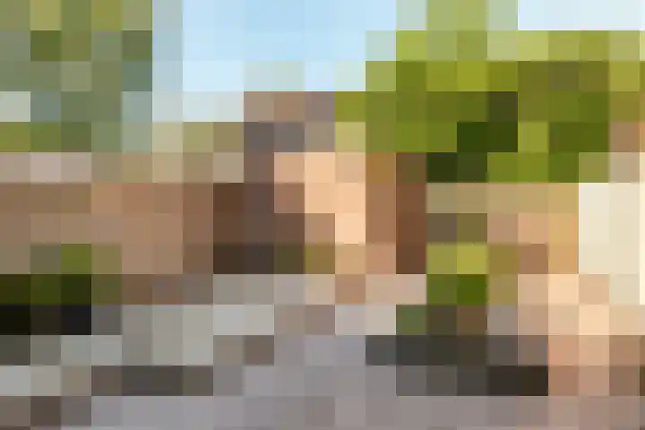Horst 20 20 20 Lelystad thumbnail 24