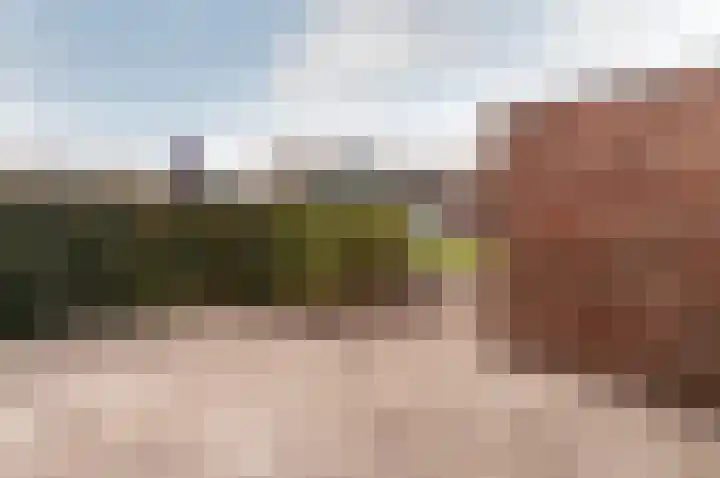 Horst 20 20 6 Lelystad thumbnail 23