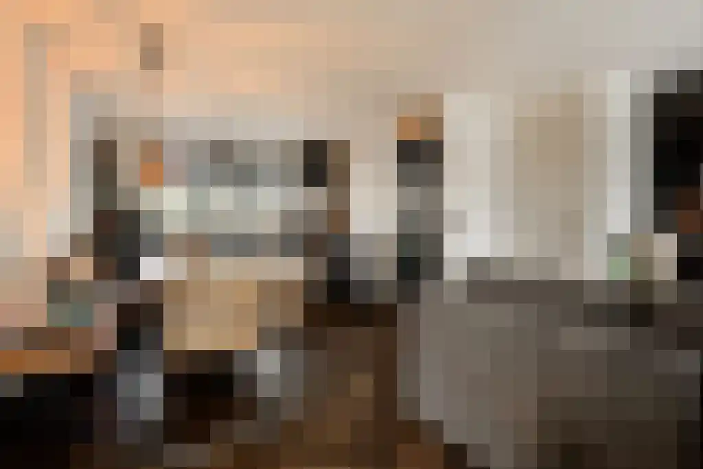 Horst 20 3 Lelystad thumbnail 10