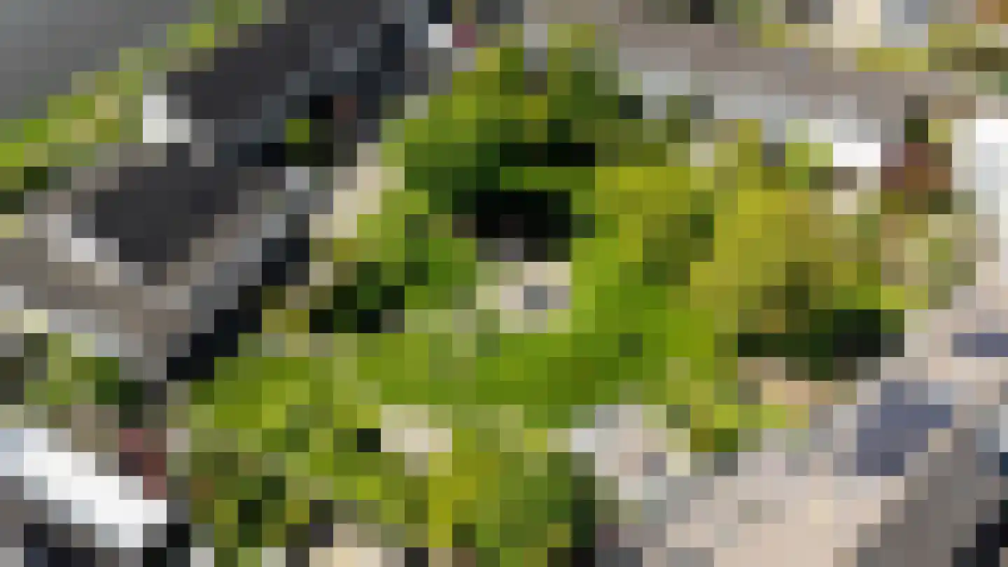 Horst 20 3 Lelystad thumbnail 30