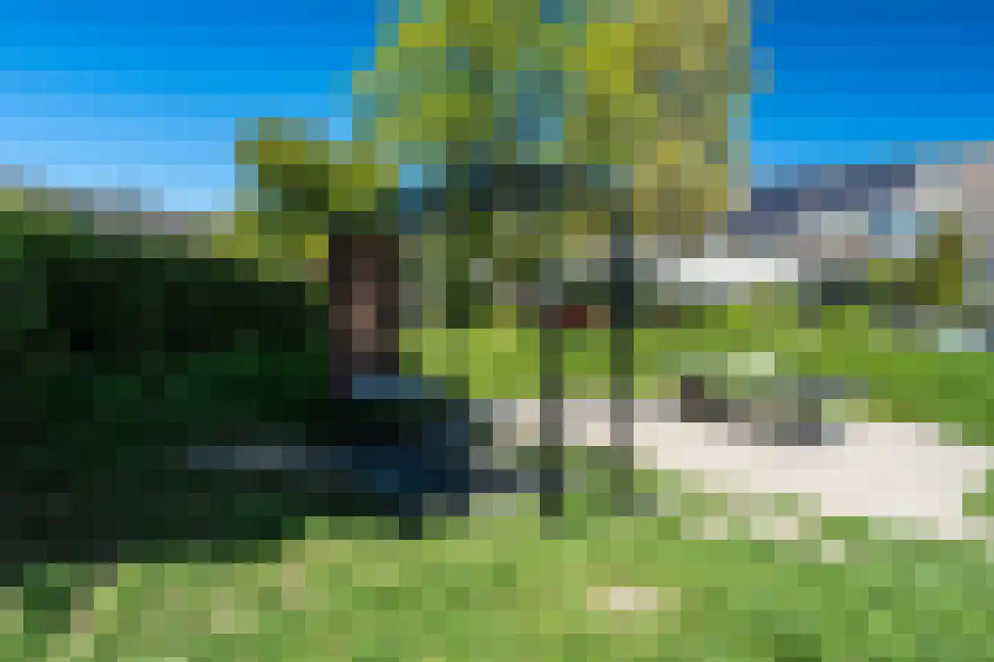 Horst 20 3 Lelystad thumbnail 31
