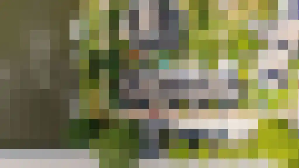 Horst 20 3 Lelystad thumbnail 5