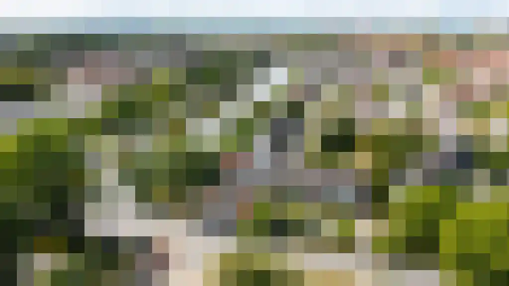 Horst 20 3 Lelystad thumbnail 6