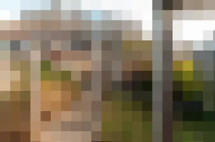 Horst 22 22 49 Lelystad thumbnail 38