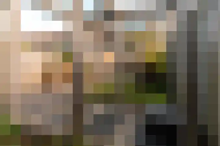 Horst 22 22 49 Lelystad thumbnail 39