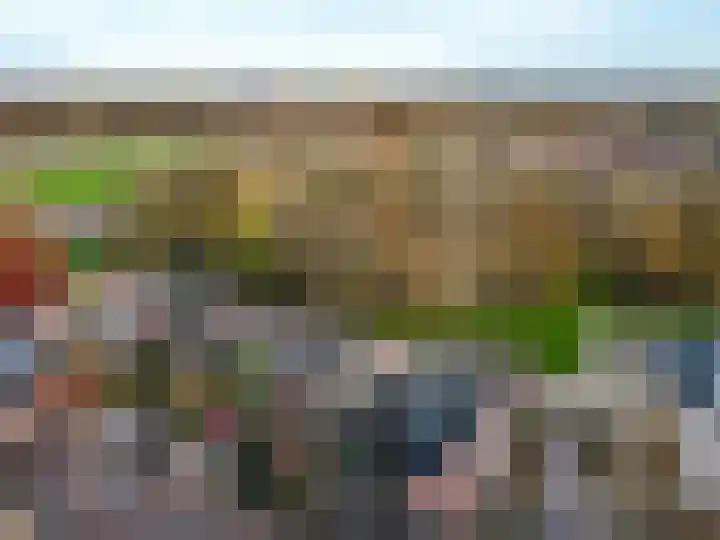 Horst 22 22 49 Lelystad thumbnail 48