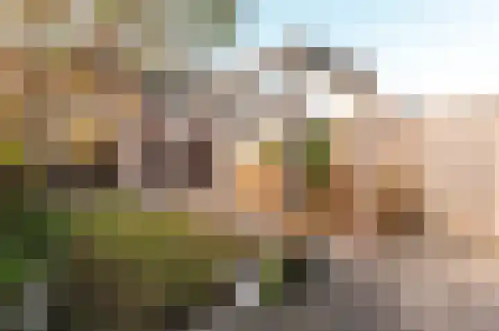 Horst 22 22 49 Lelystad thumbnail 5