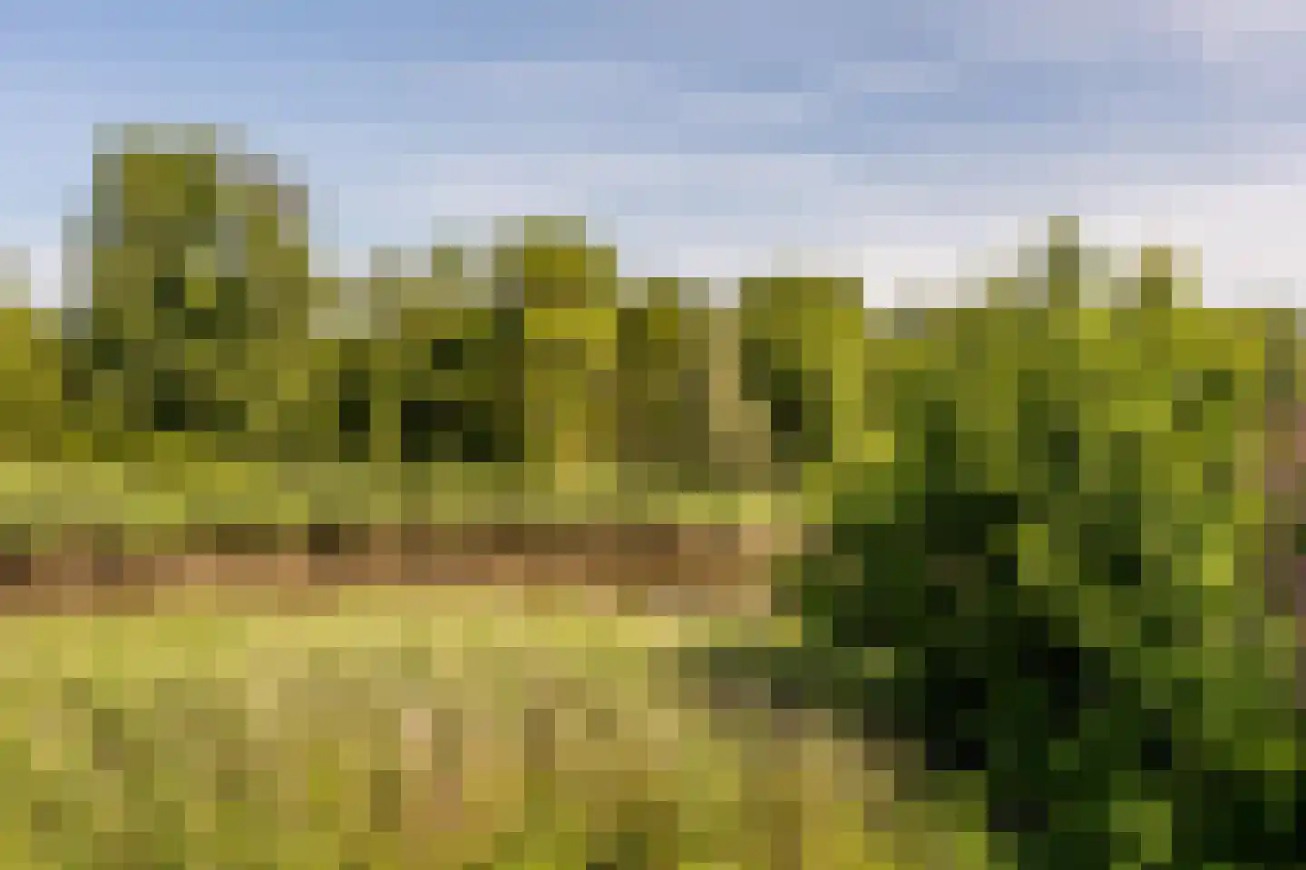 Horst 22 22 73 Lelystad thumbnail 4