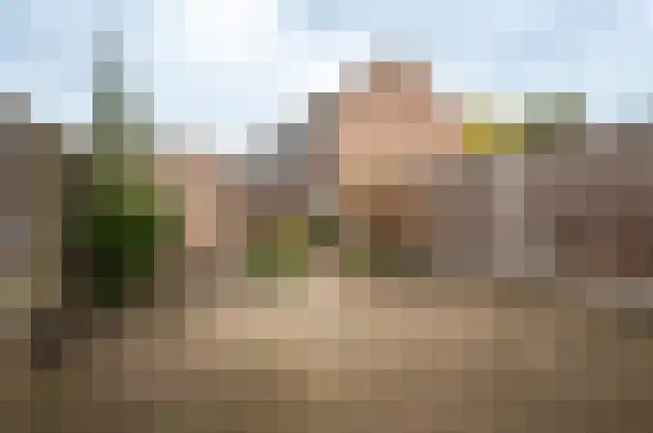 Horst 22 35 Lelystad thumbnail 30