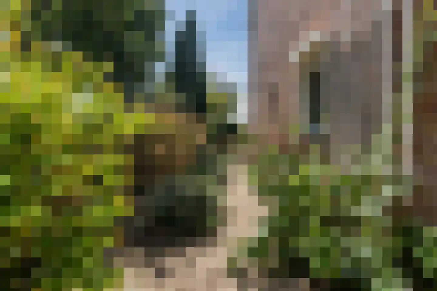 Horst 22 47 Lelystad thumbnail 39