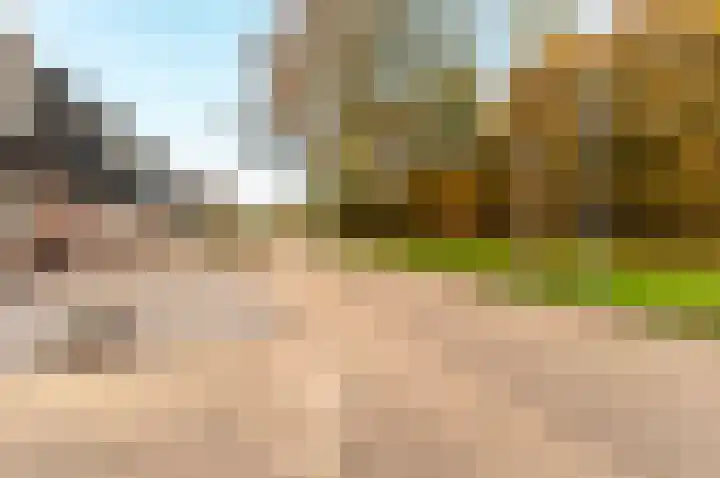 Horst 22 49 Lelystad thumbnail 42