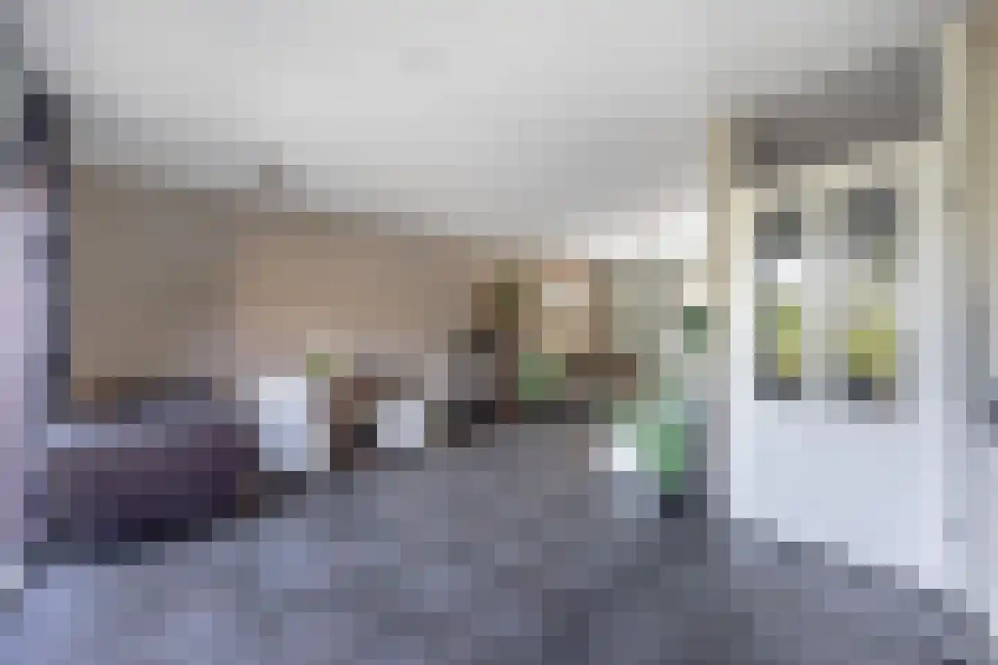 Horst 22 59 Lelystad thumbnail 10