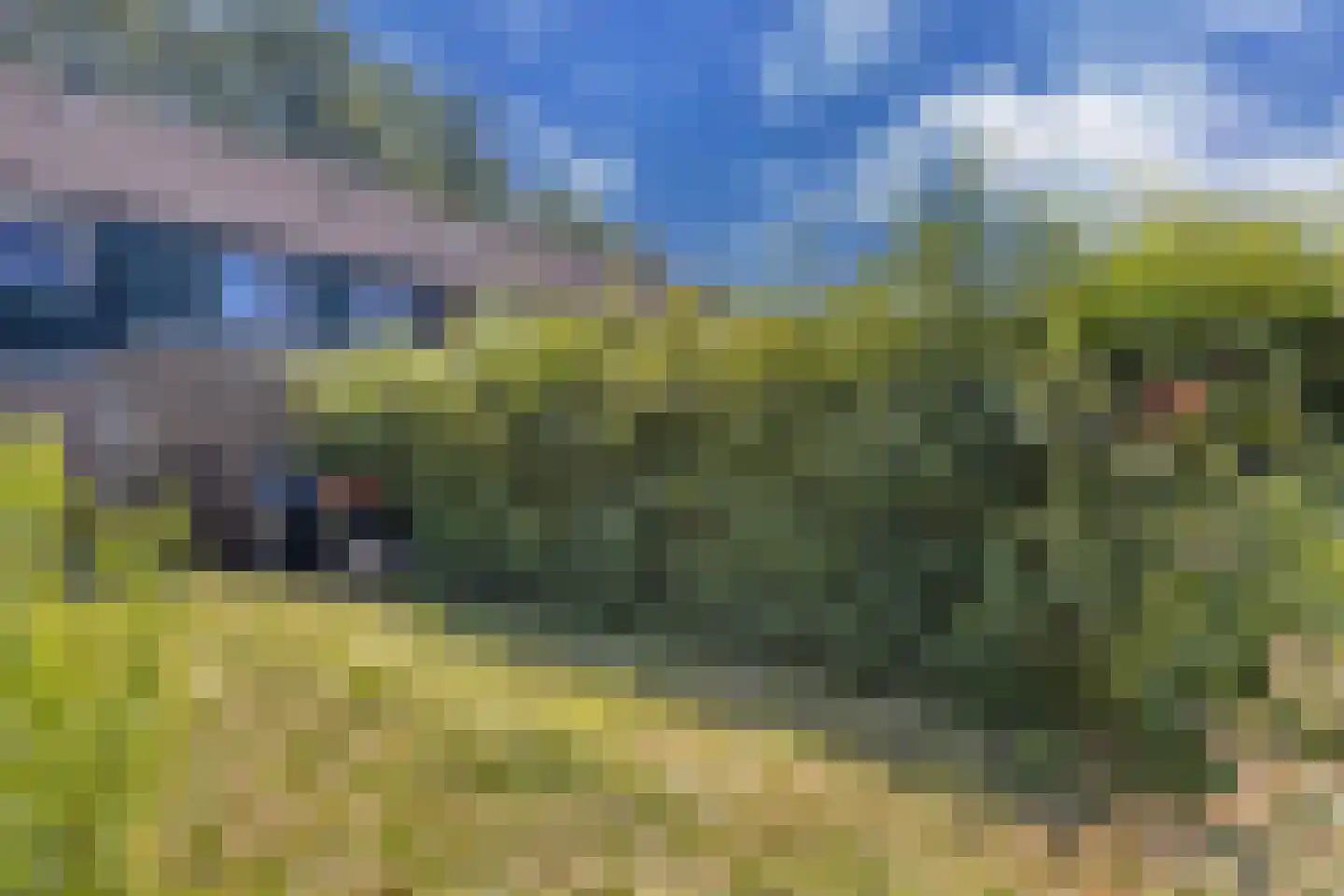 Horst 22 59 Lelystad thumbnail 25