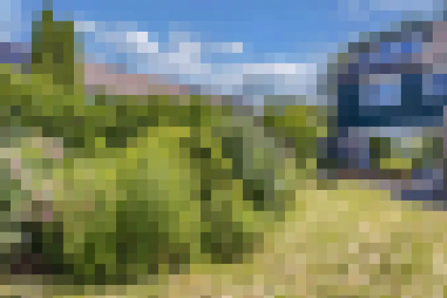 Horst 22 59 Lelystad thumbnail 26