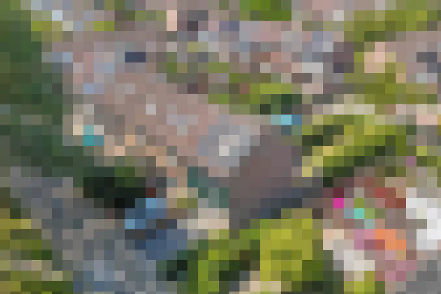 Horst 22 59 Lelystad thumbnail 49