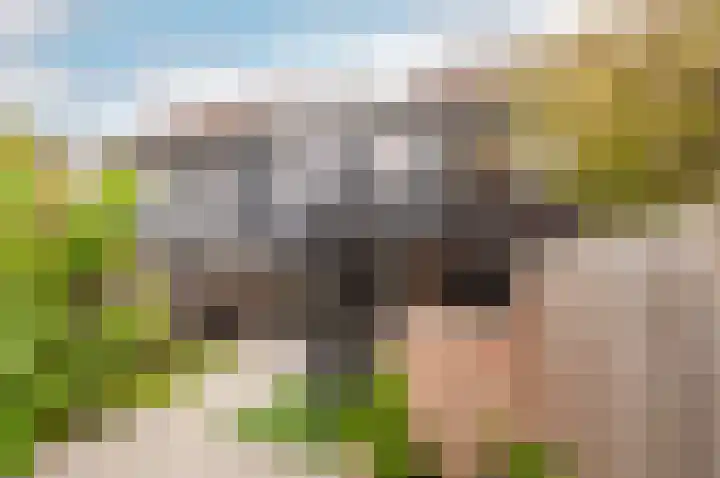 Horst 22 73 Lelystad thumbnail 51