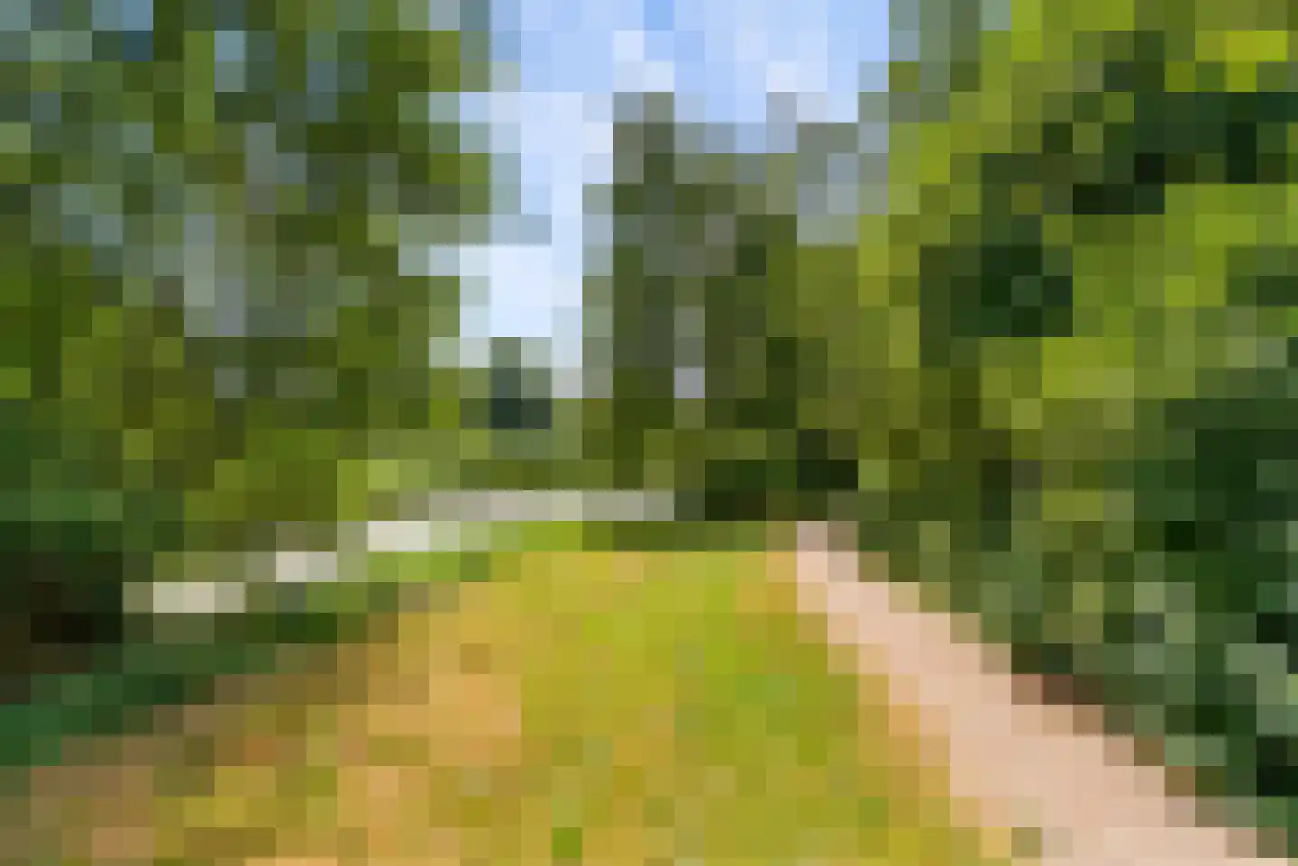 Horst 23 27 Lelystad thumbnail 33