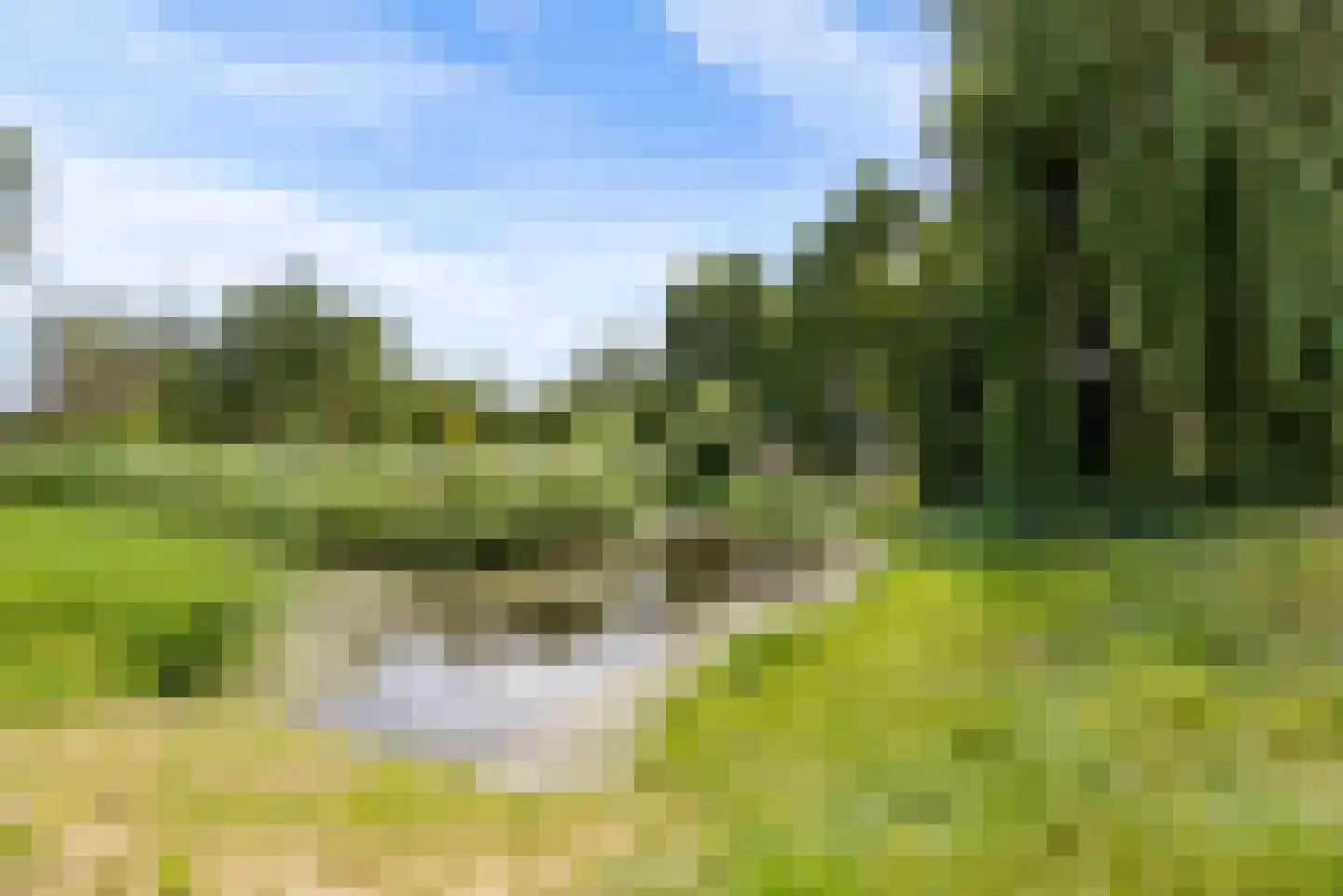 Horst 23 27 Lelystad thumbnail 34