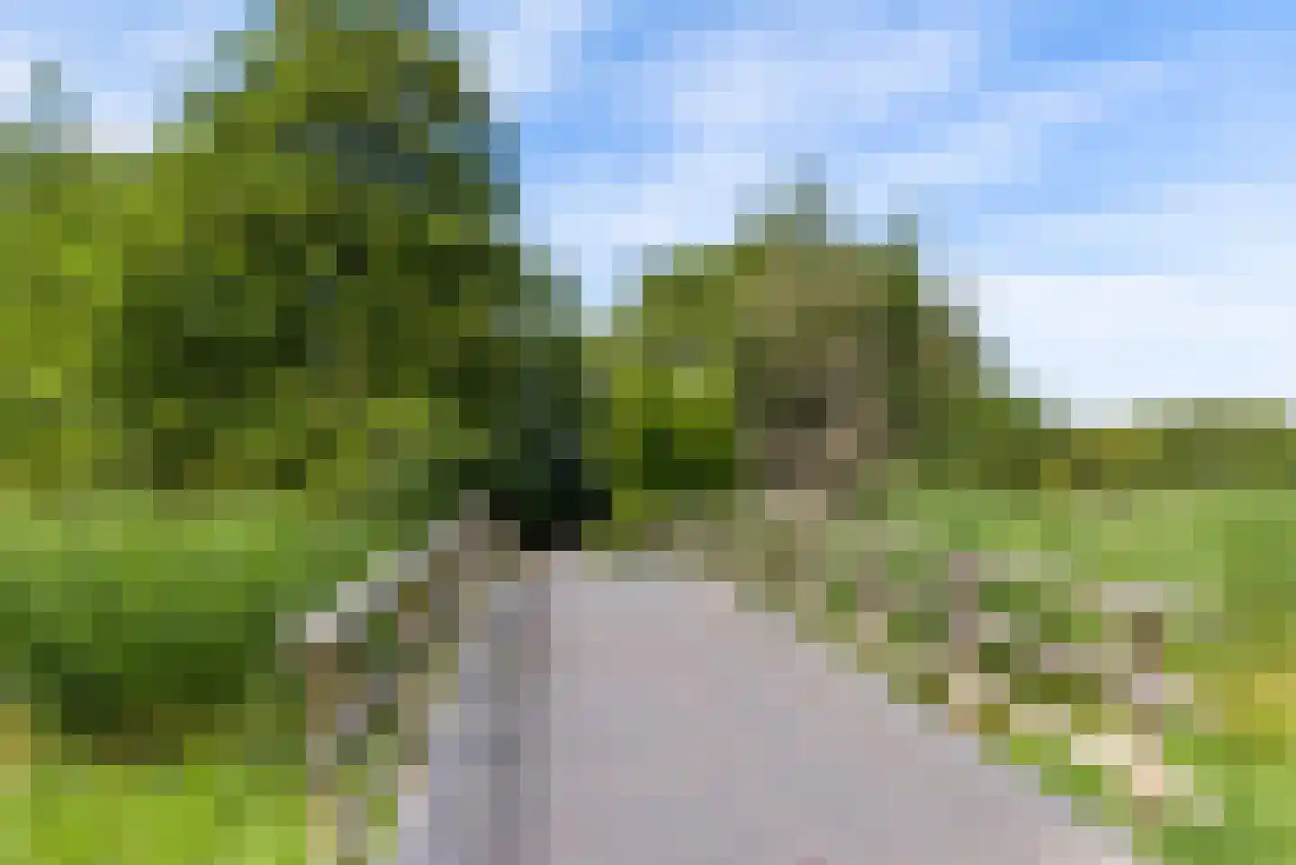 Horst 23 27 Lelystad thumbnail 36