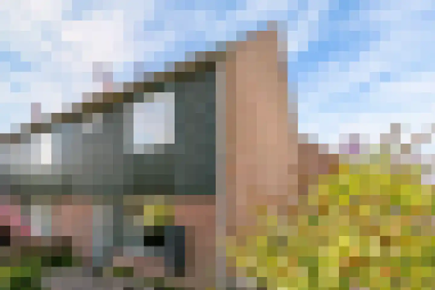 Horst 23 27 Lelystad thumbnail 4
