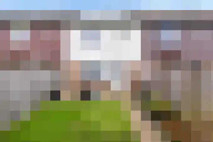 Horst 25 25 53 Lelystad thumbnail 20