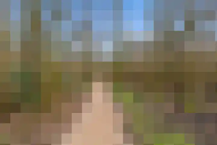 Horst 25 25 53 Lelystad thumbnail 24