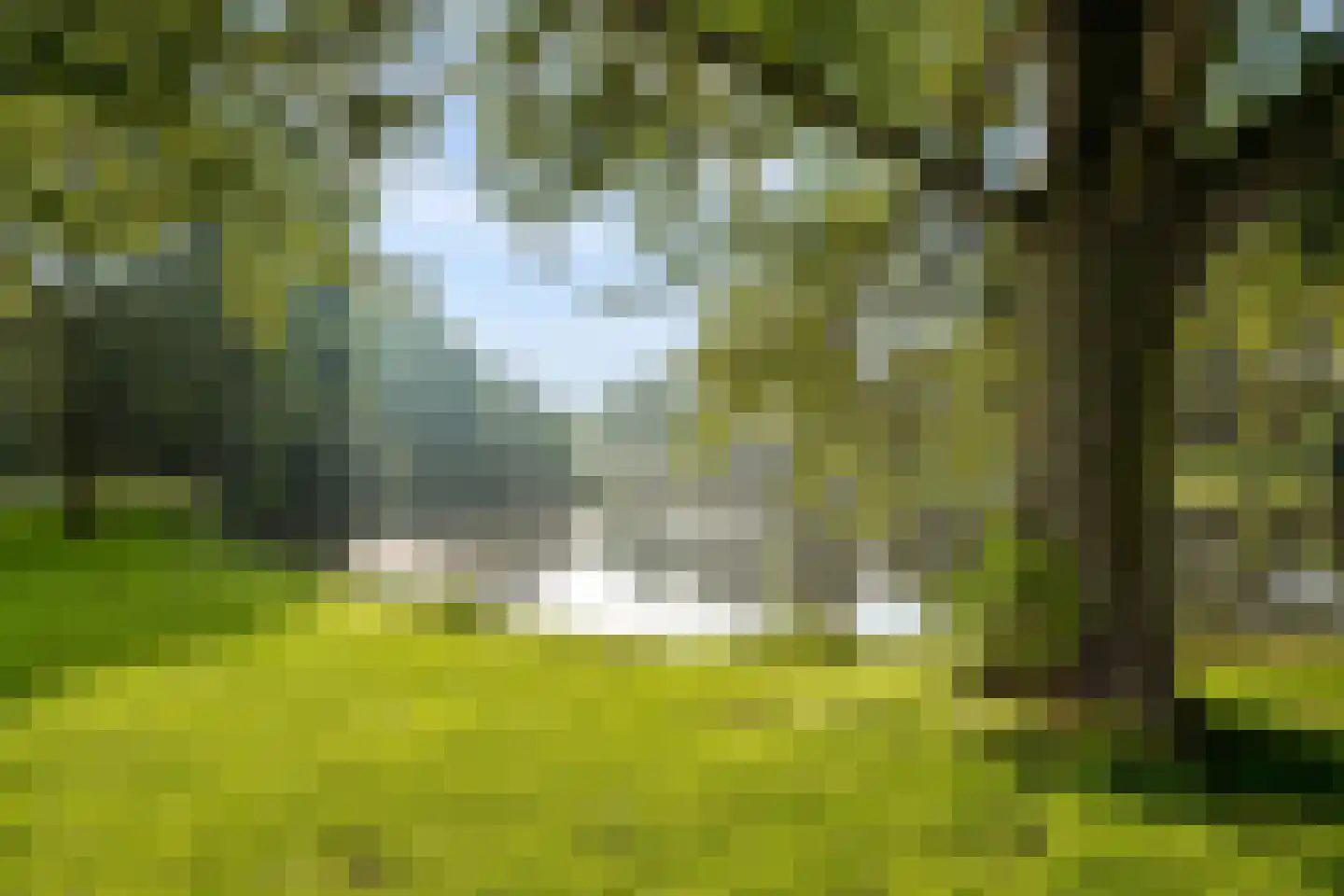 Horst 25 47 Lelystad thumbnail 33