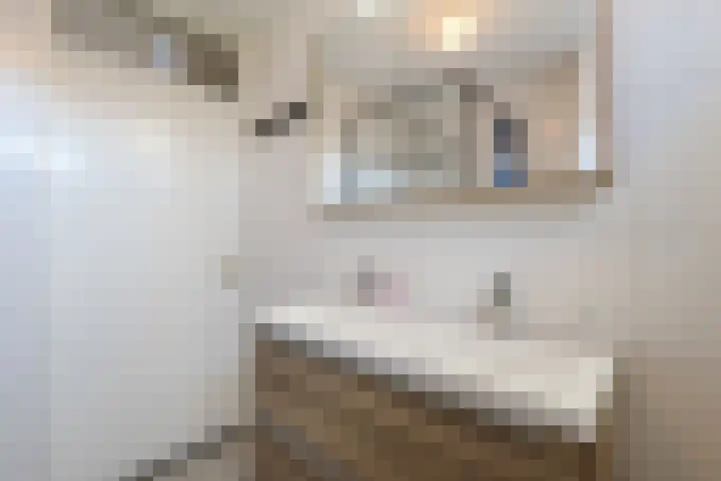 Horst 25 60 Lelystad thumbnail 24