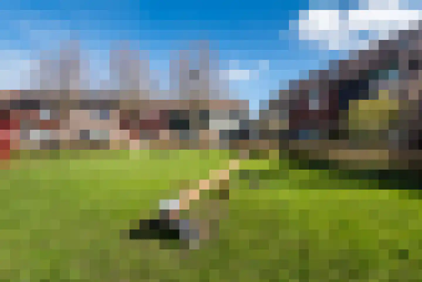 Horst 25 60 Lelystad thumbnail 34