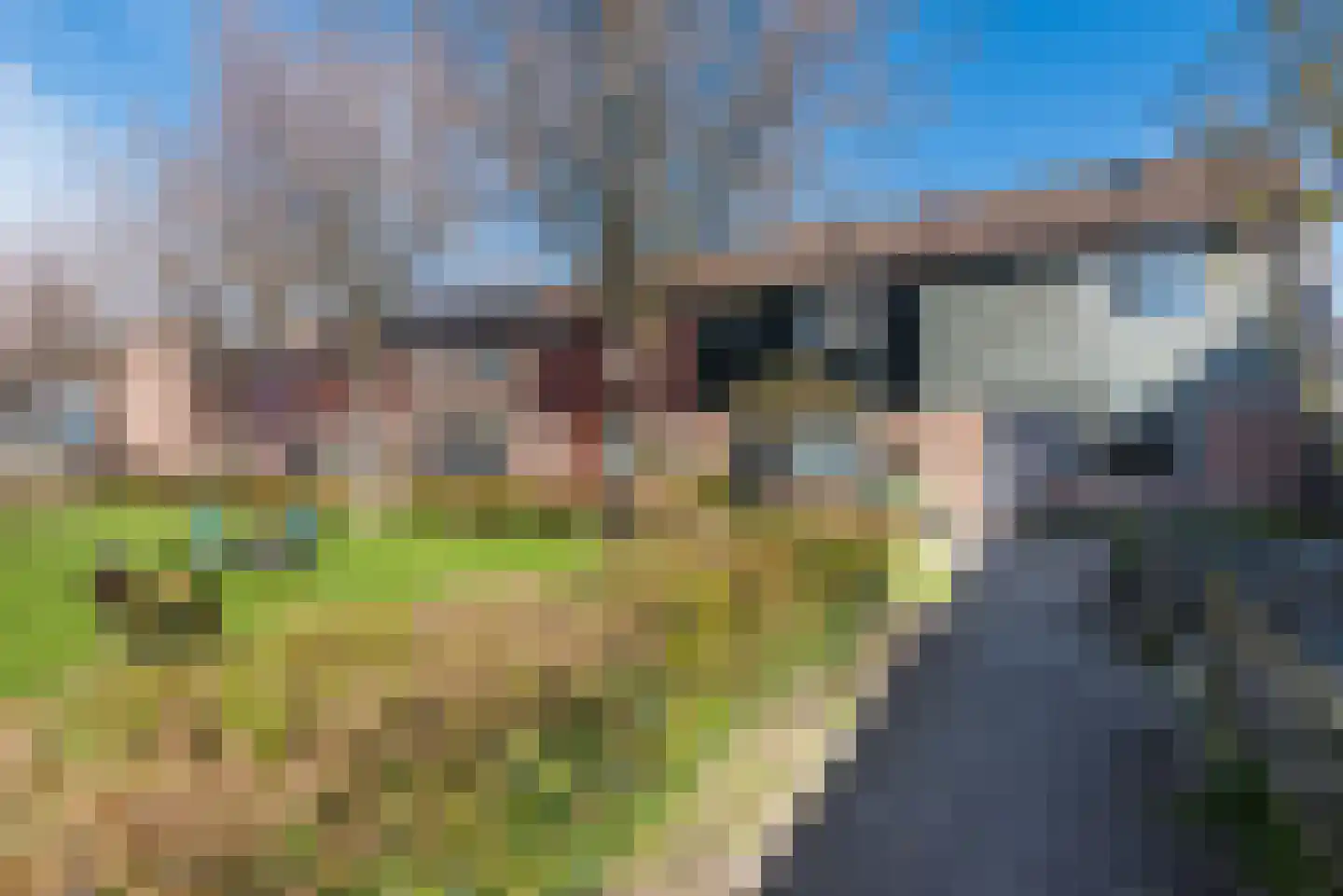 Horst 25 60 Lelystad thumbnail 35
