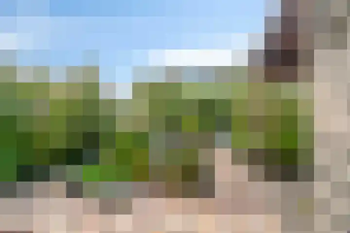 Horst 26 26 62 Lelystad thumbnail 31