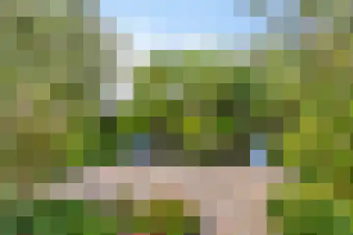Horst 26 26 62 Lelystad thumbnail 32