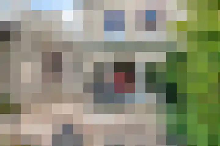 Horst 26 26 62 Lelystad thumbnail 34