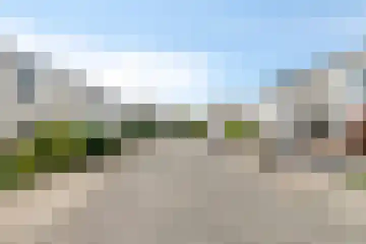 Horst 26 26 62 Lelystad thumbnail 5