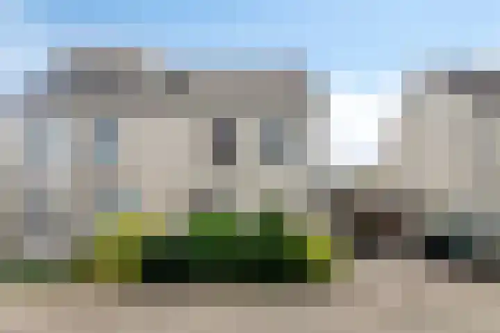 Horst 26 26 62 Lelystad thumbnail 6