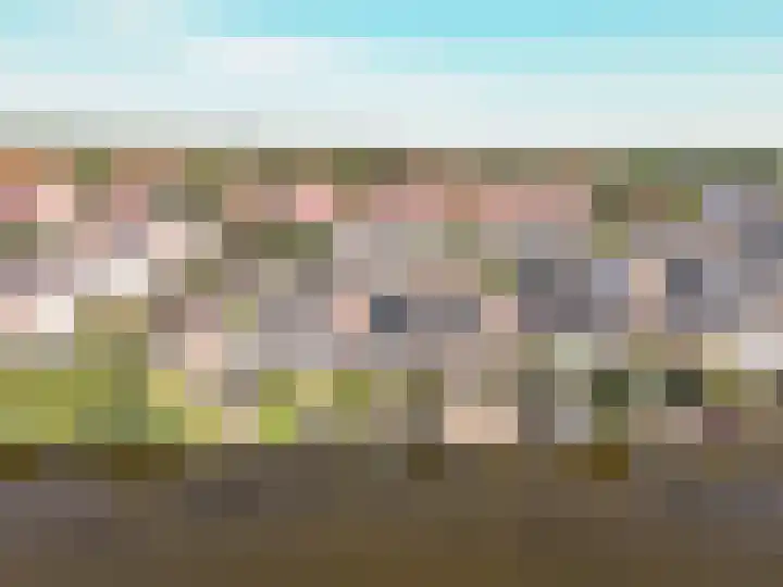 Horst 26 26 67 Lelystad thumbnail 53