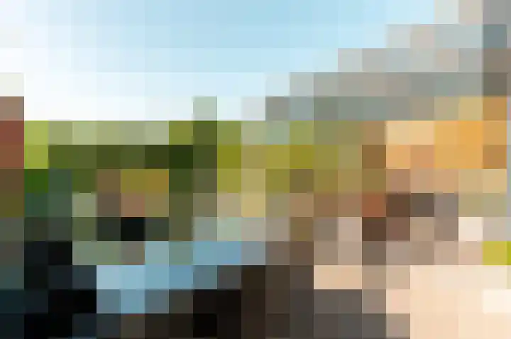 Horst 26 67 Lelystad thumbnail 34