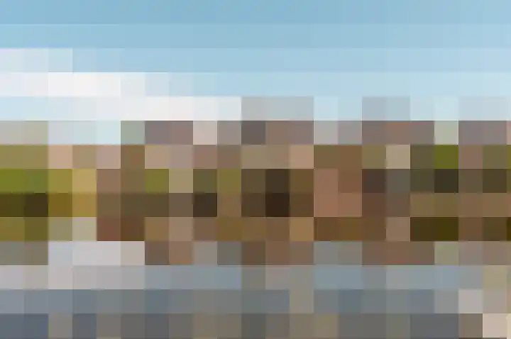Horst 26 67 Lelystad thumbnail 43
