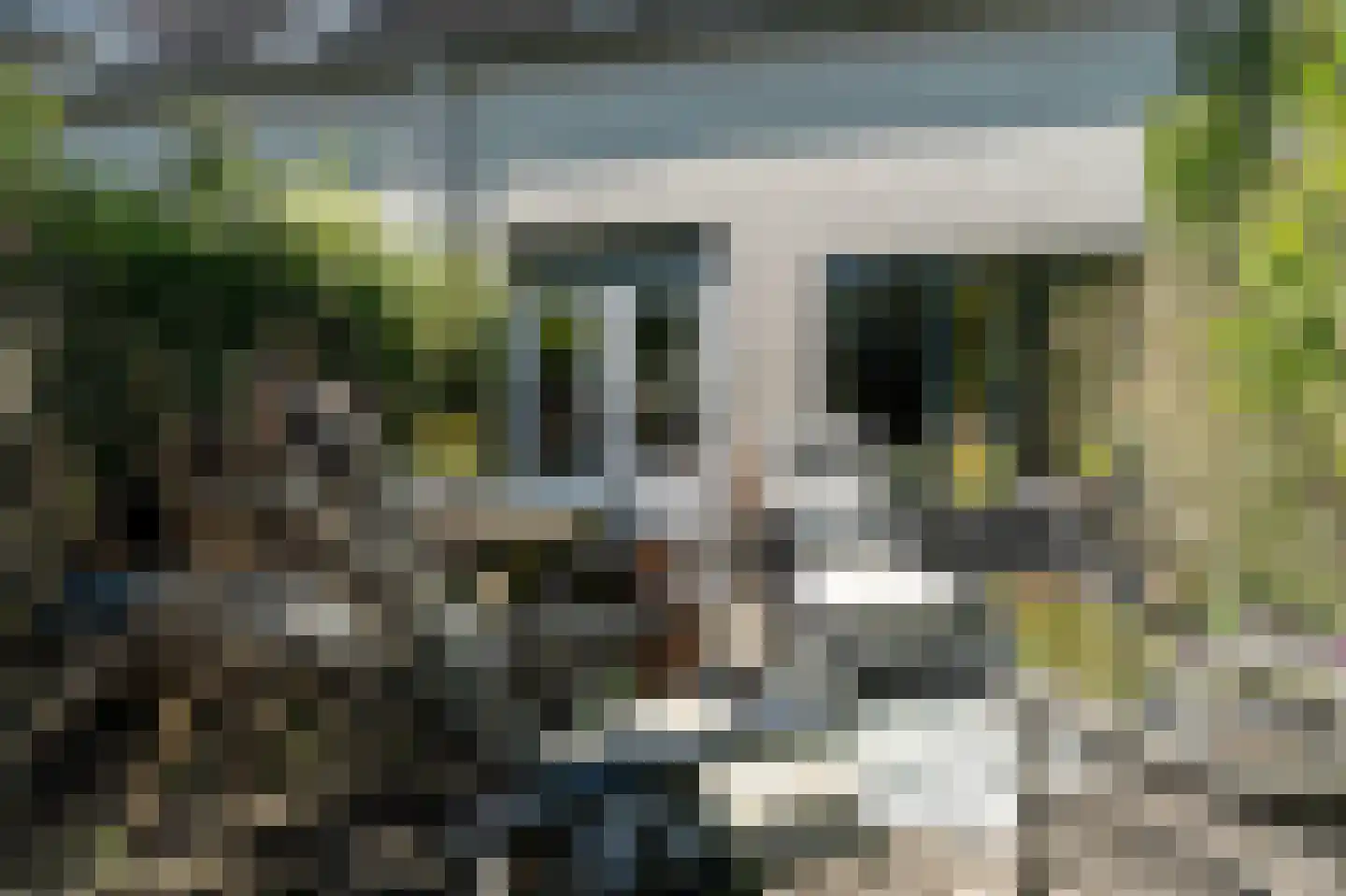 Horst 26 7 Lelystad thumbnail 23