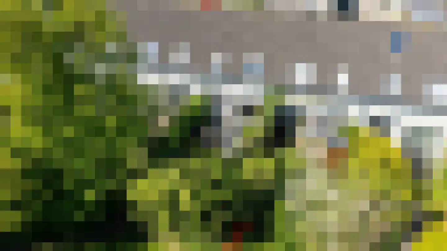 Horst 26 7 Lelystad thumbnail 25