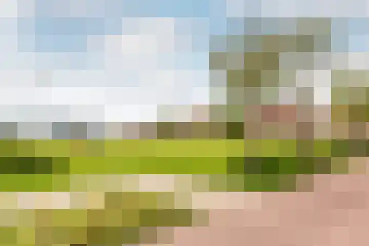 Horst 27 27 31 Lelystad thumbnail 26