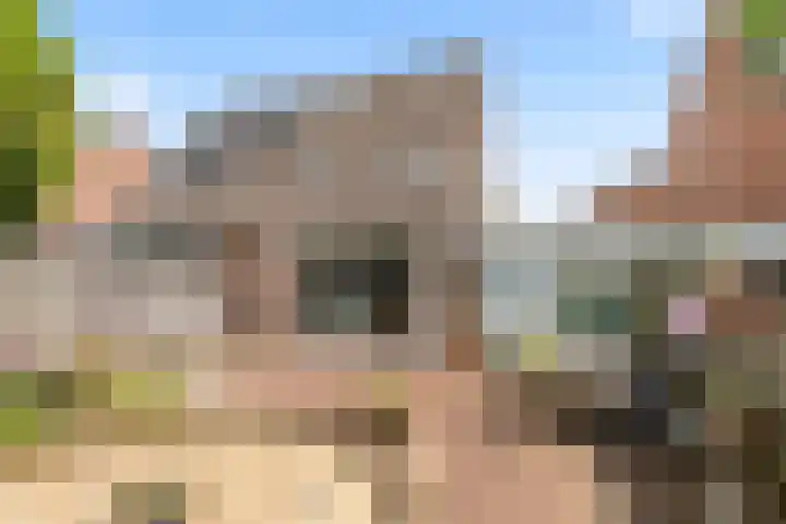 Horst 27 27 59 Lelystad thumbnail 20