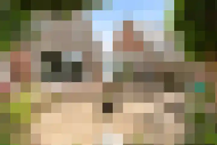 Horst 27 27 59 Lelystad thumbnail 21