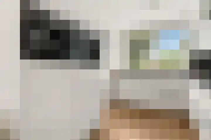 Horst 27 27 59 Lelystad foto 3