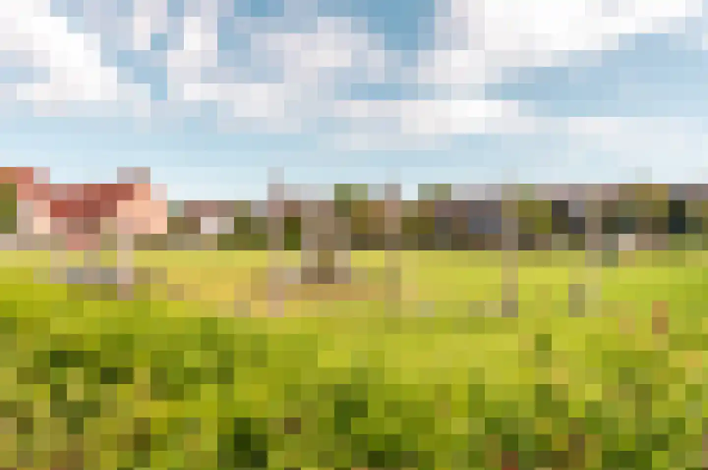 Horst 27 8 Lelystad thumbnail 51