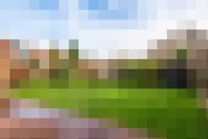 Horst 28 38 Lelystad thumbnail 35